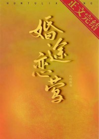 婚途小说全集